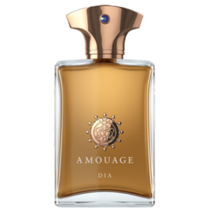 Amouage Dia for Men - امواج ديا للرجال