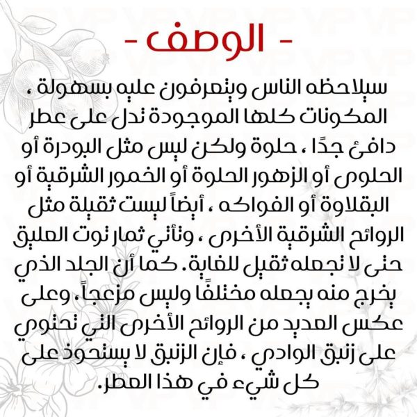 ⁦ڤي نمبر ون للرجال والنساء / V Number One for Men and Women⁩ - الصورة ⁦9⁩